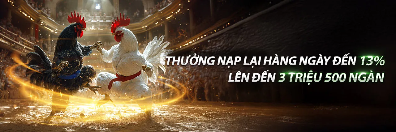Hình ảnh chính các chương trình khuyến mãi độc quyền của aev999