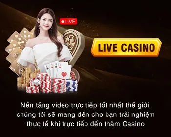Ưu đãi độc quyền aev999